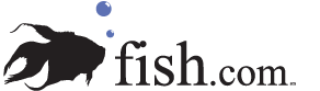 fish.com